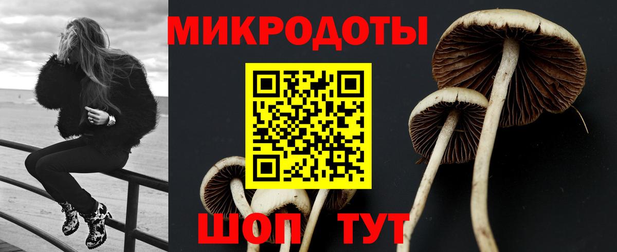 Псилоцибиновые грибы мицелий Краснодар